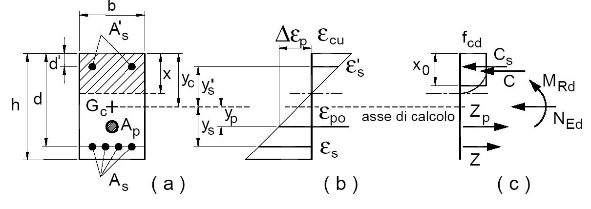 Fig. 4.1.4 – Sezione pressoinflessa